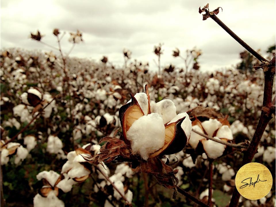 •Mississippi Civil Rights&nbsp;Museum•