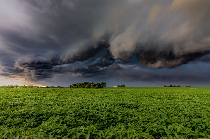 A storm is rolling over a green field